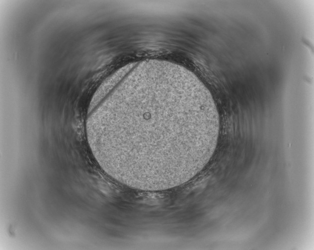 X0000098161109200805081057