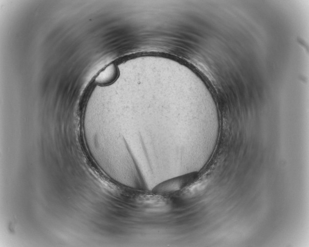 X0000098161119200805081058