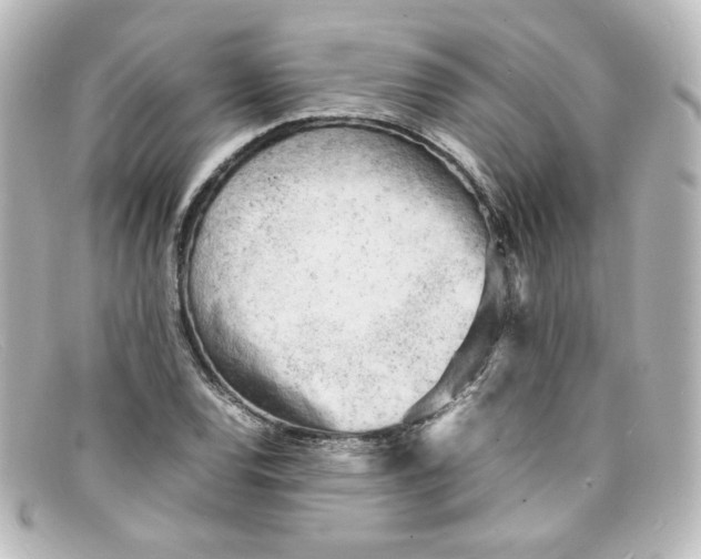 X0000098161120200805081058