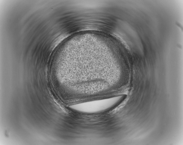 X0000098161121200805081058