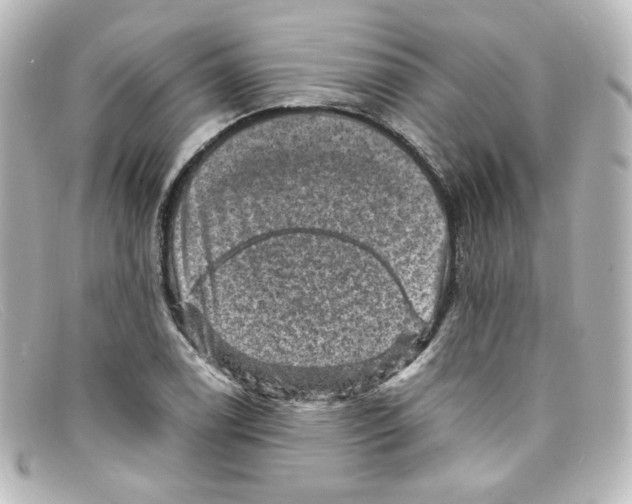 X0000098161122200805081058