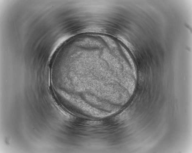 X0000098161123200805081058