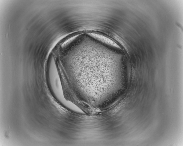 X0000098161124200805081058