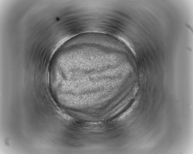 X0000098161125200805081058