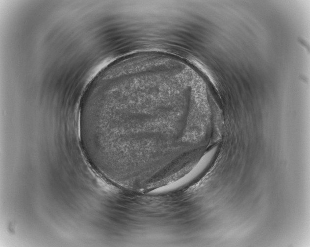 X0000098161127200805081058