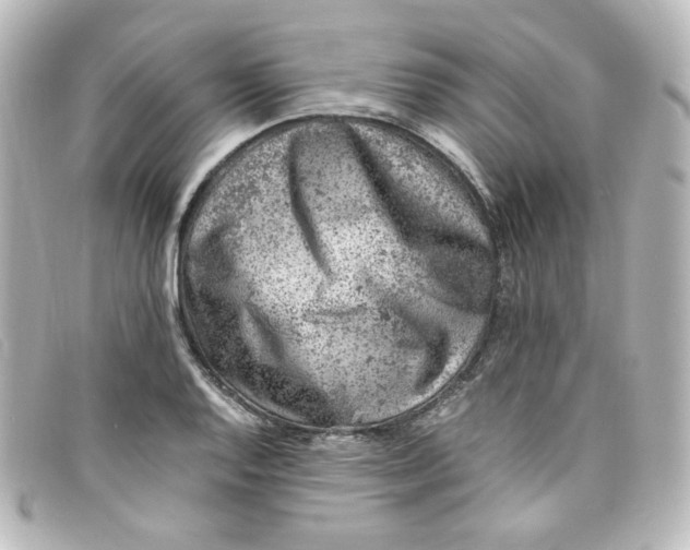 X0000098161128200805081058