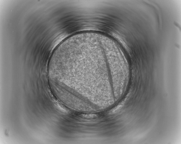 X0000098161129200805081058