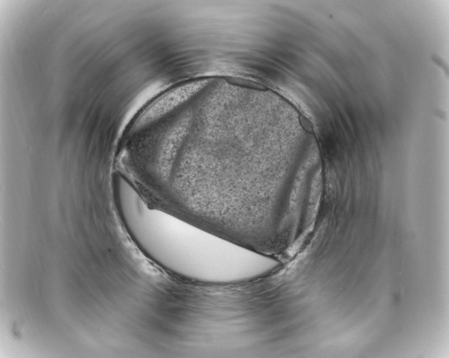 X0000098161138200805081058