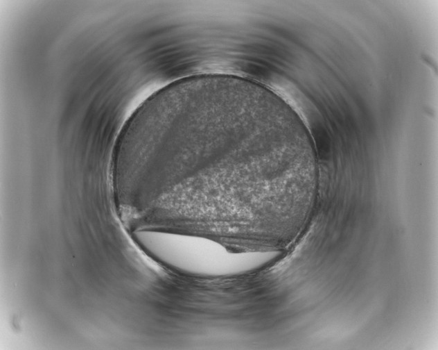 X0000098161141200805081058