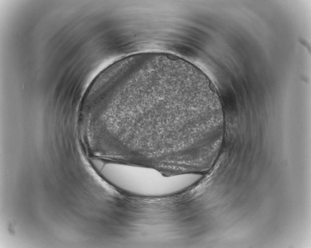 X0000098161142200805081058