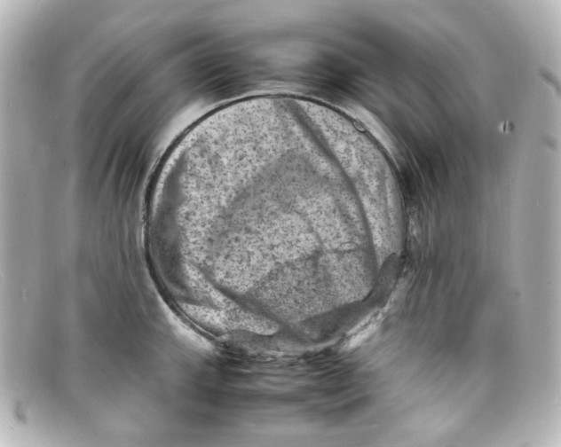 X0000098161143200805081058