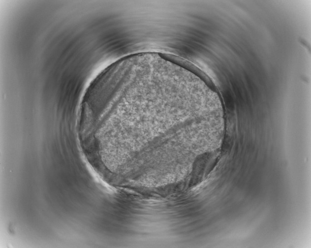 X0000098161144200805081058