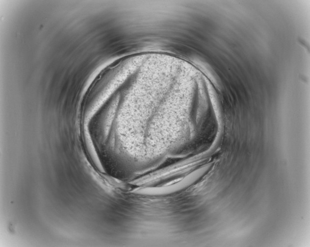 X0000098161148200805081058