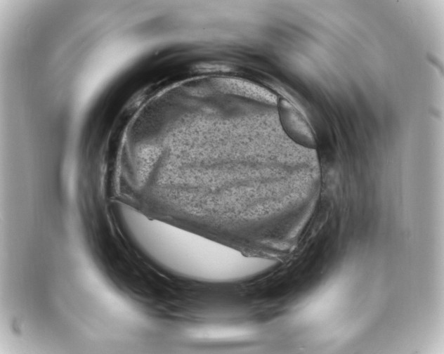 X0000098161151200805081058
