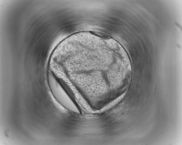 X0000098161152200805081058