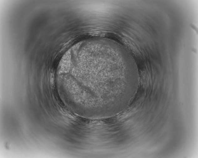 X0000098161154200805081057
