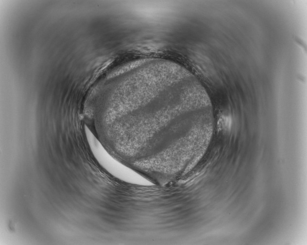 X0000098161156200805081057