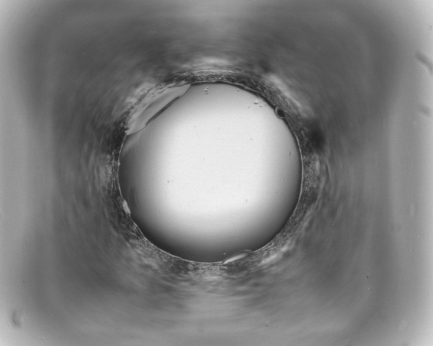 X0000098161157200805081057