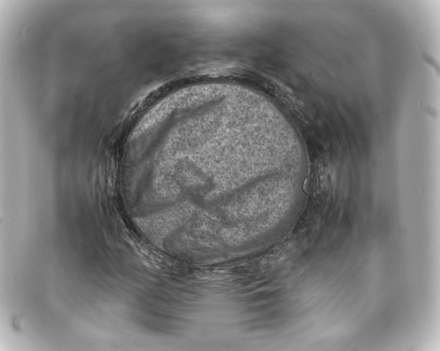 X0000098161158200805081057