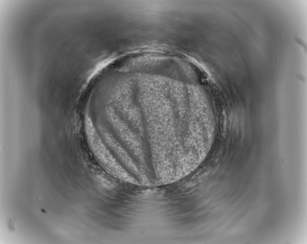 X0000098161160200805081057