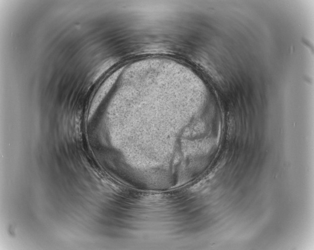X0000098161162200805081057