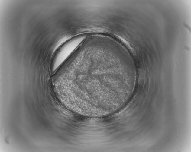 X0000098161163200805081057