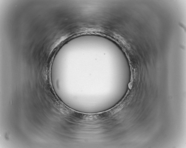 X0000098161165200805081057