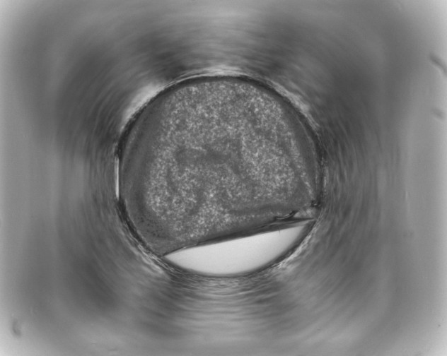 X0000098161171200805081057