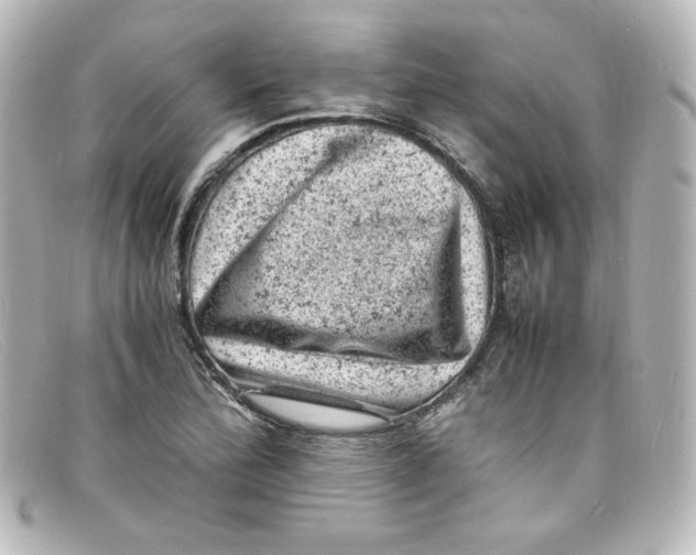 X0000098161172200805081057