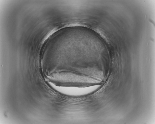 X0000098161173200805081057