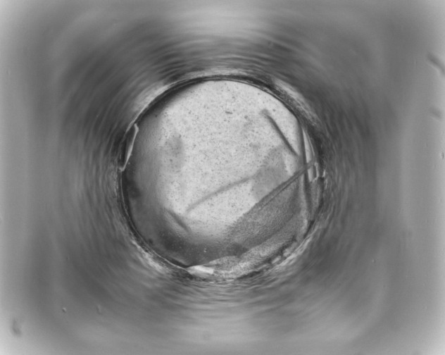 X0000098161177200805081057