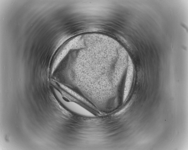 X0000098161178200805081057