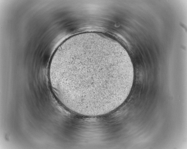 X0000098161182200805081057