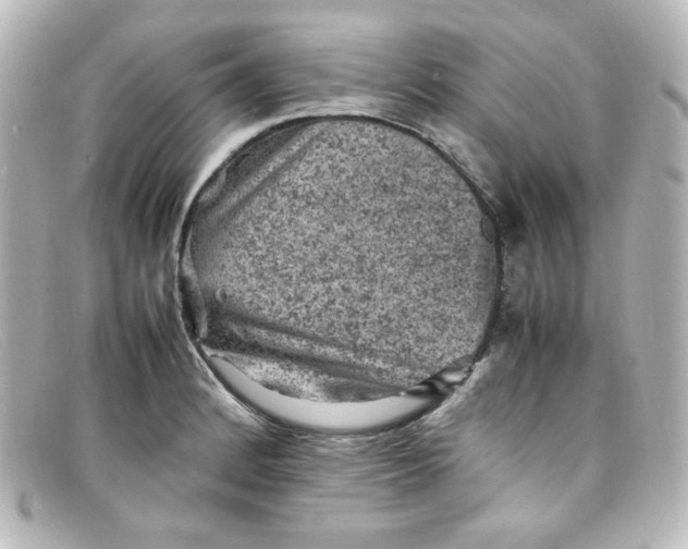 X0000098161184200805081057