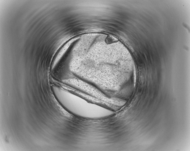 X0000098161186200805081057