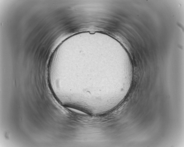 X0000098161187200805081057