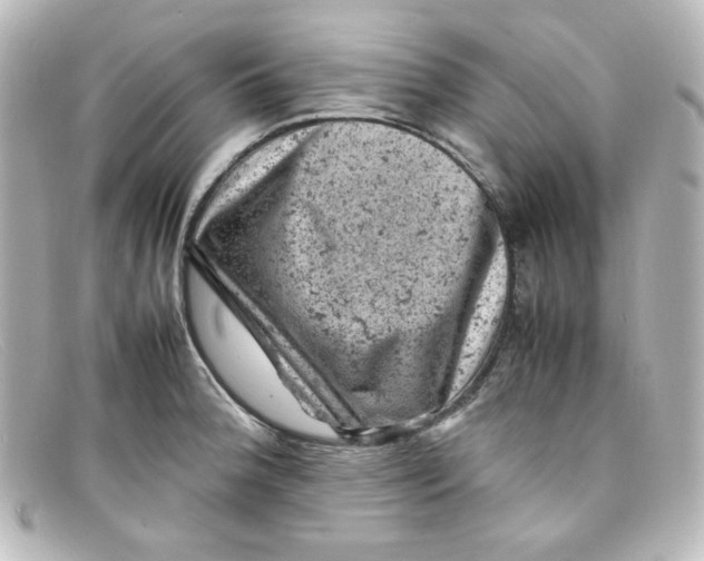 X0000098161188200805081057