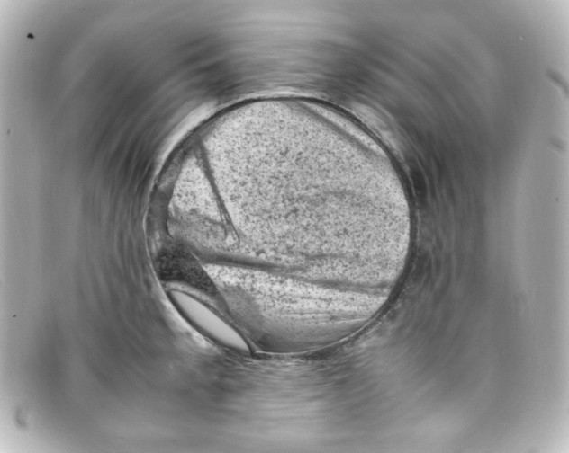 X0000098161189200805081057