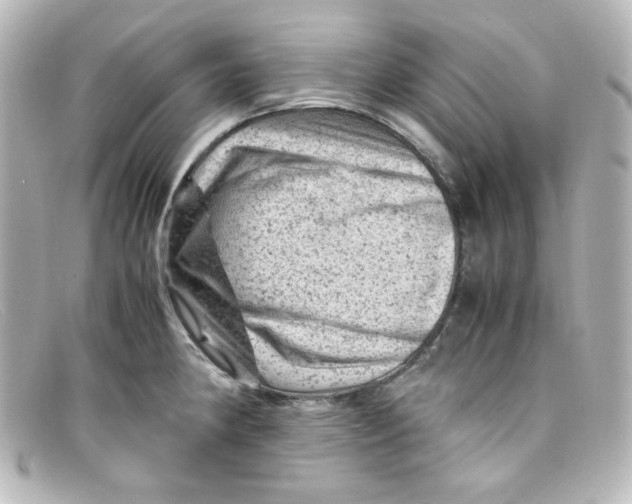 X0000098161190200805081057
