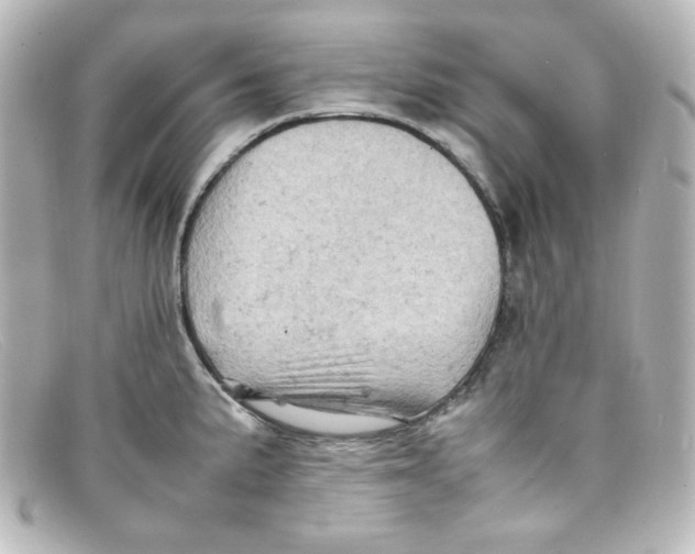 X0000098161191200805081057