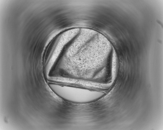 X0000098161192200805081057