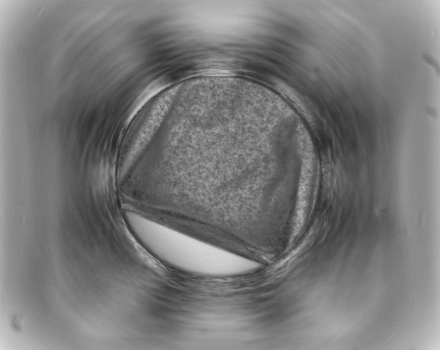 X0000098161194200805081057