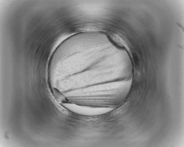 X0000098161195200805081057