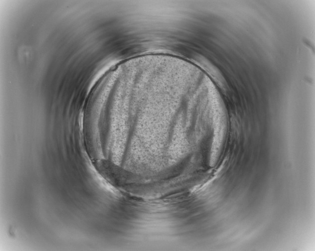 X0000098161198200805081057