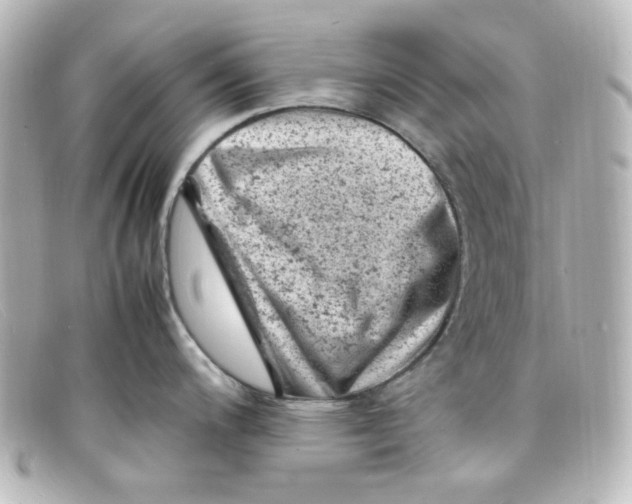 X0000098161200200805081057