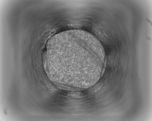 X0000098161201200805081056
