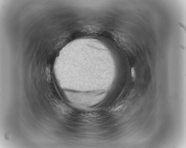 X0000098161203200805081056