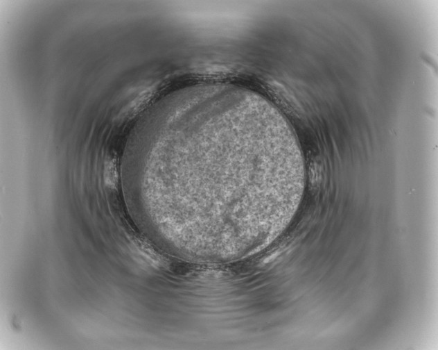 X0000098161204200805081056