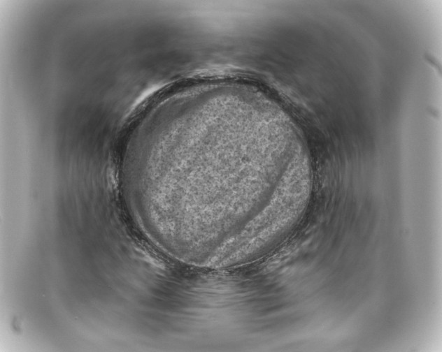 X0000098161206200805081056
