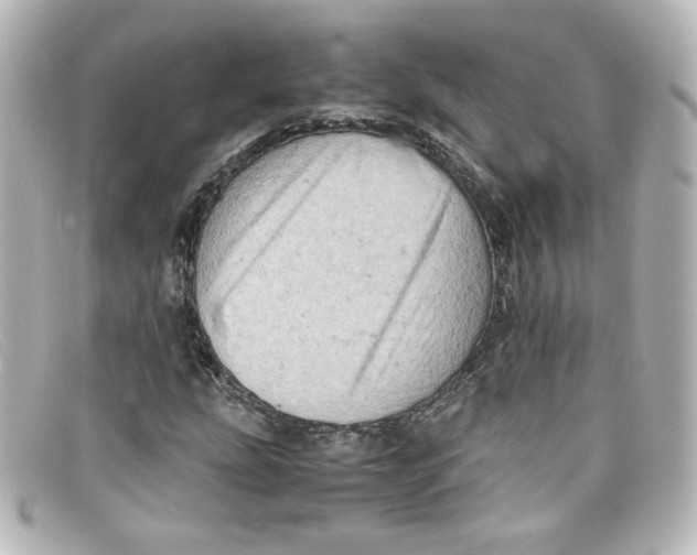 X0000098161207200805081056